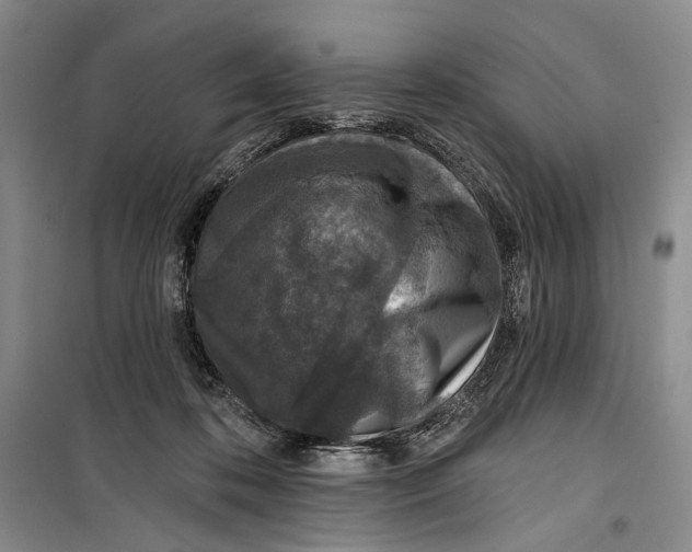 X0000099440316200805301456