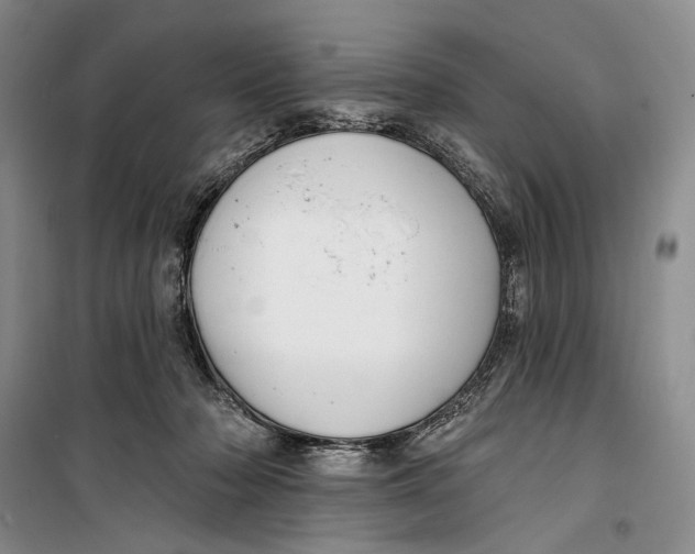 X0000099440318200805301456