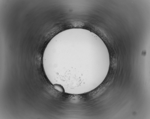 X0000099440321200805301456