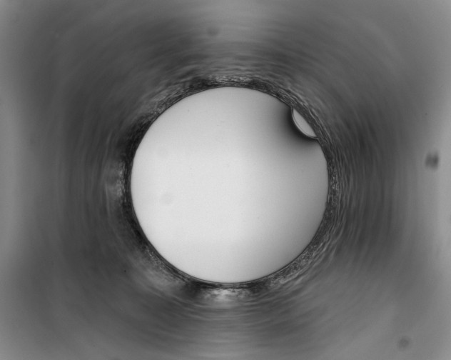 X0000099440323200805301456