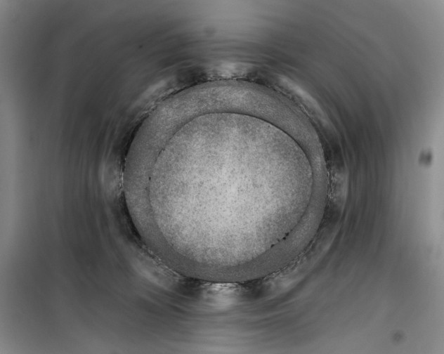 X0000099440324200805301456