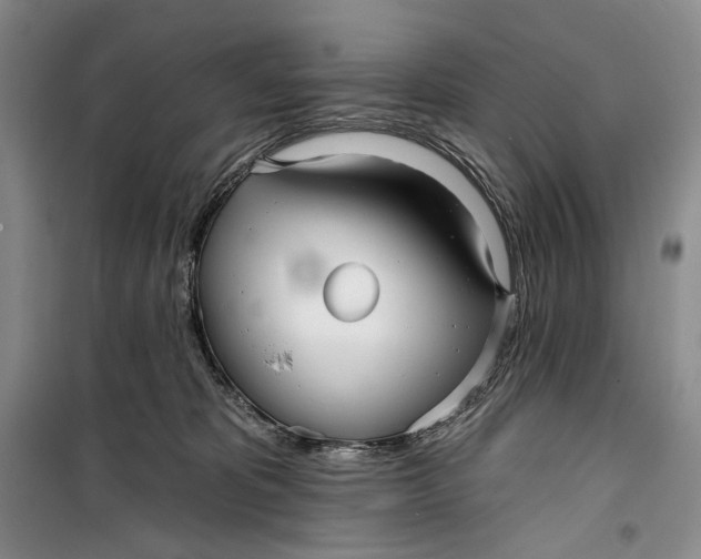 X0000099440325200805301456