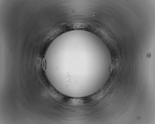 X0000099440327200805301456