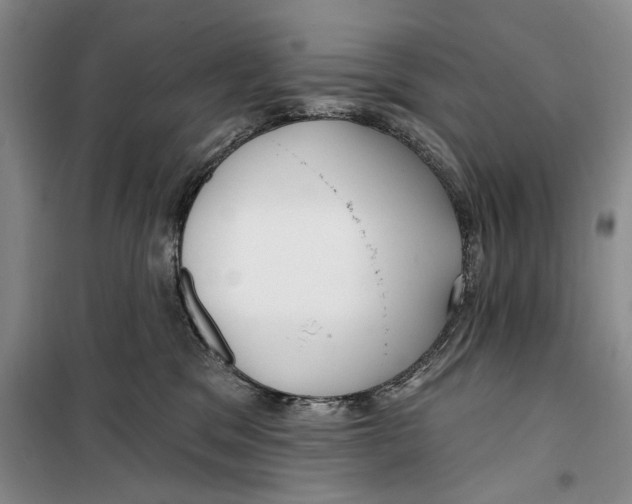 X0000099440329200805301456