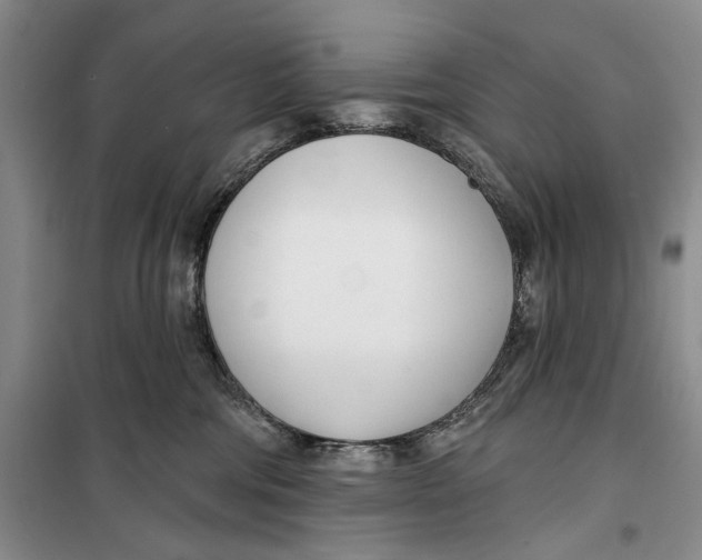 X0000099440330200805301456