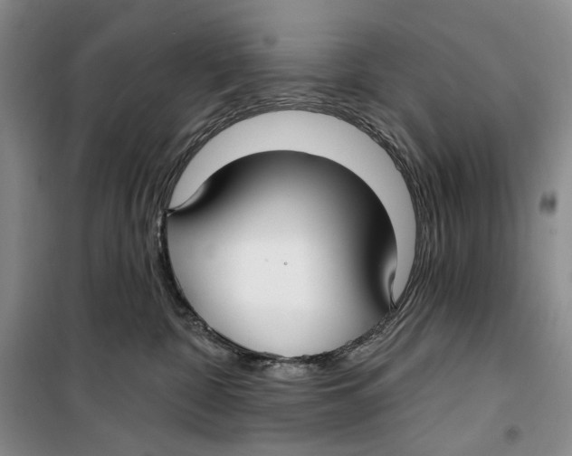 X0000099440332200805301456