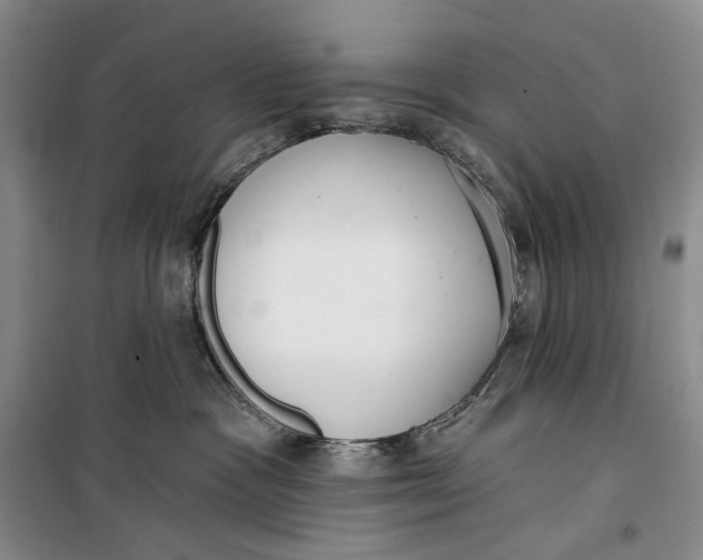 X0000099440333200805301456