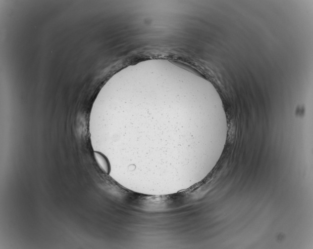 X0000099440335200805301456