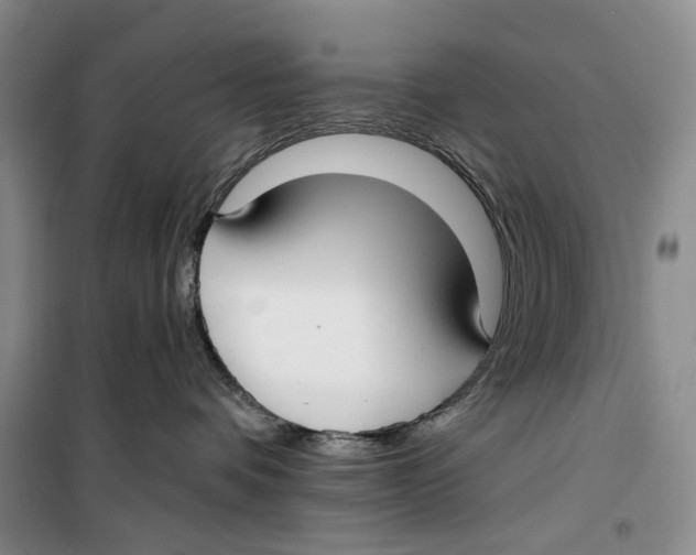 X0000099440336200805301456