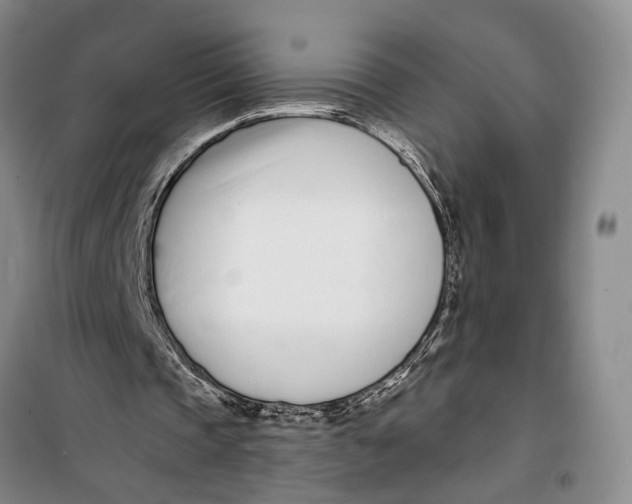 X0000099440337200805301455