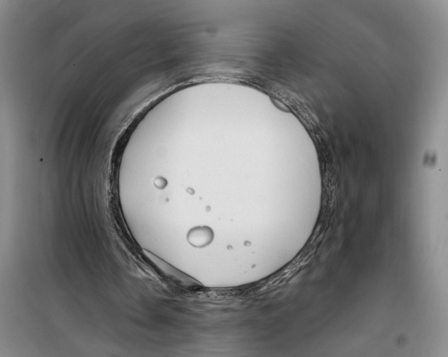 X0000099440338200805301455