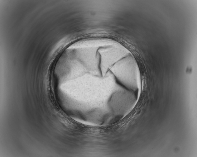 X0000099440339200805301455