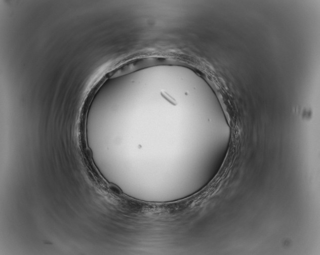 X0000099440340200805301455