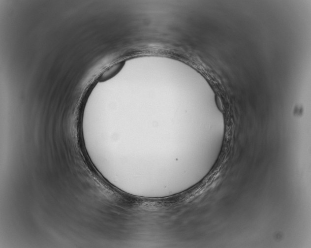 X0000099440341200805301455