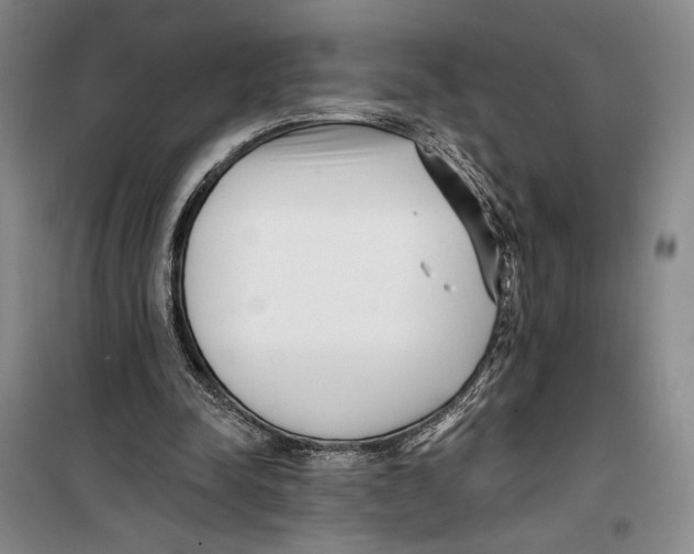 X0000099440342200805301455