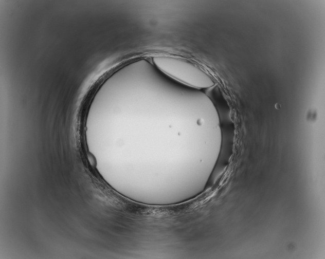 X0000099440343200805301455