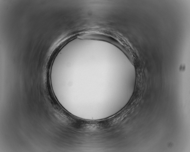 X0000099440344200805301455