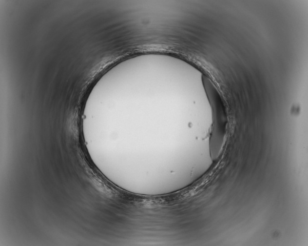 X0000099440345200805301455