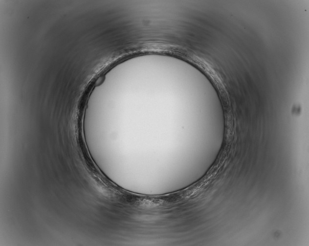 X0000099440346200805301455