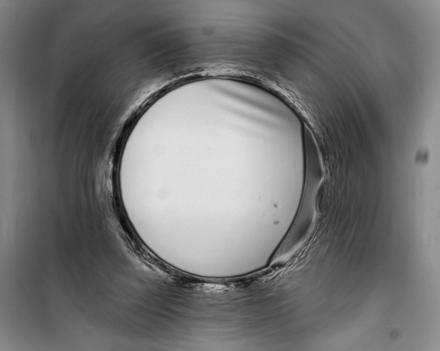 X0000099440347200805301456