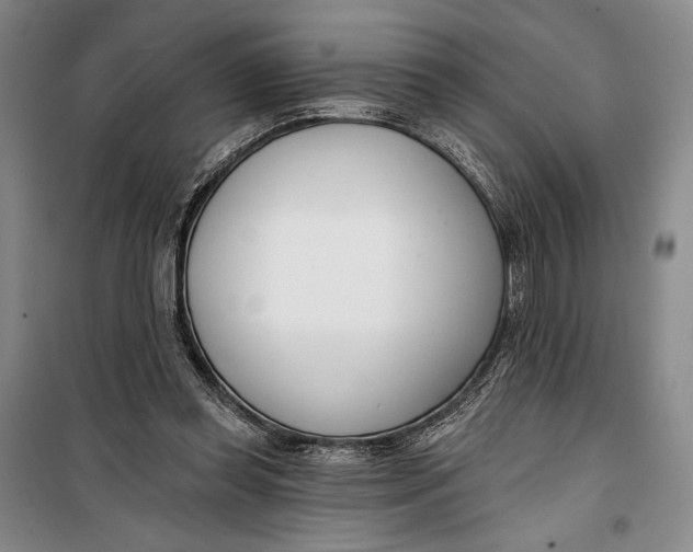 X0000099440349200805301456