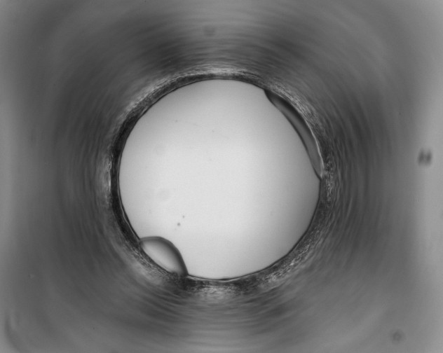 X0000099440350200805301456