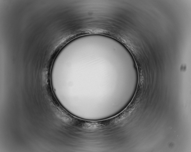 X0000099440351200805301456