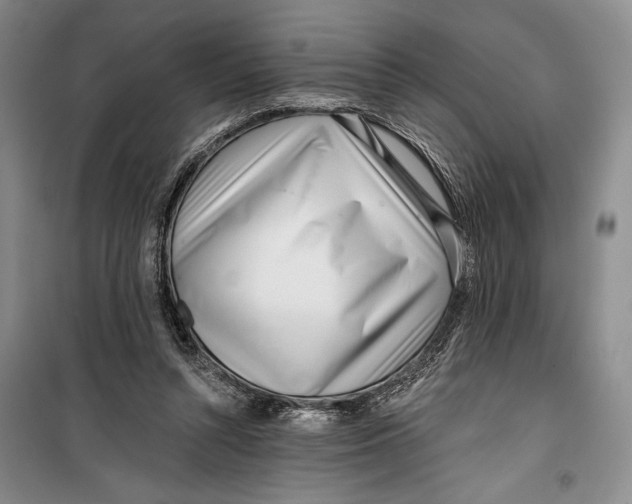 X0000099440352200805301456