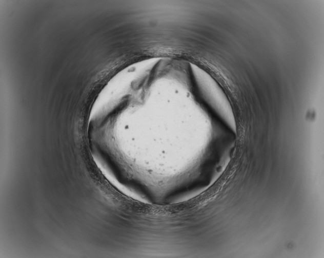 X0000099440353200805301456