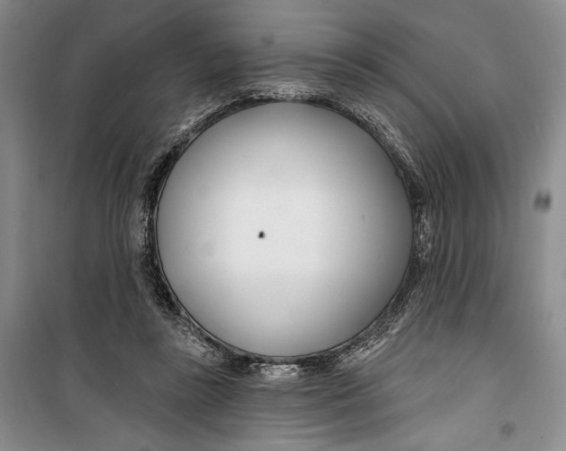 X0000099440355200805301456