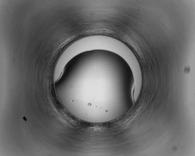 X0000099440356200805301456