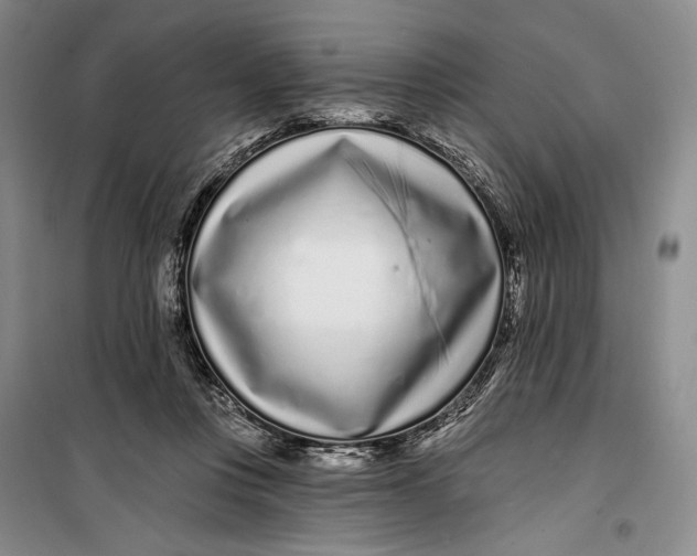 X0000099440359200805301456