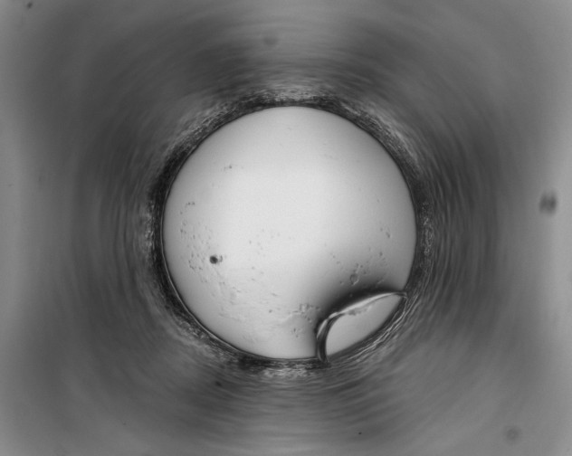 X0000099440362200805301456