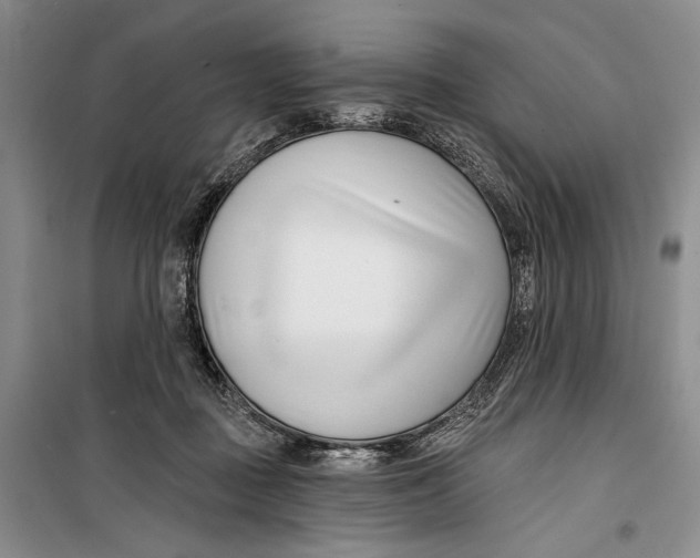 X0000099440363200805301456