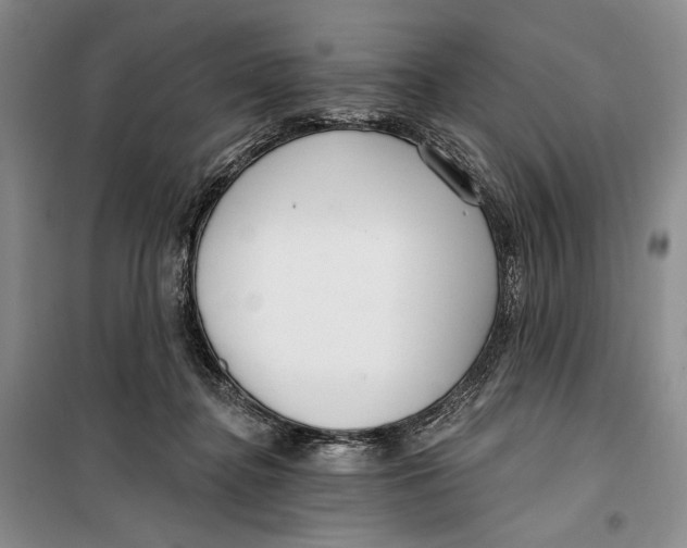 X0000099440364200805301456