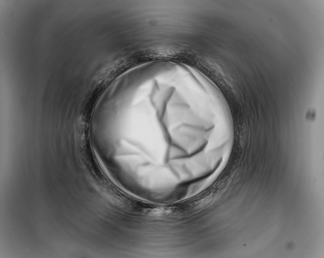 X0000099440366200805301456