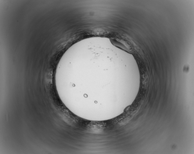 X0000099440368200805301456