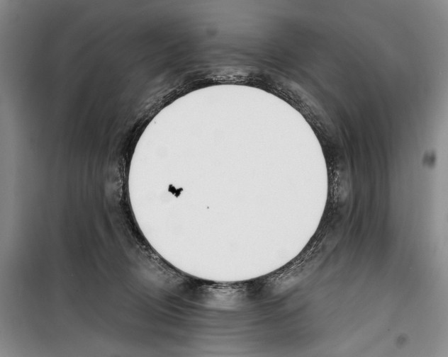 X0000099440370200805301456