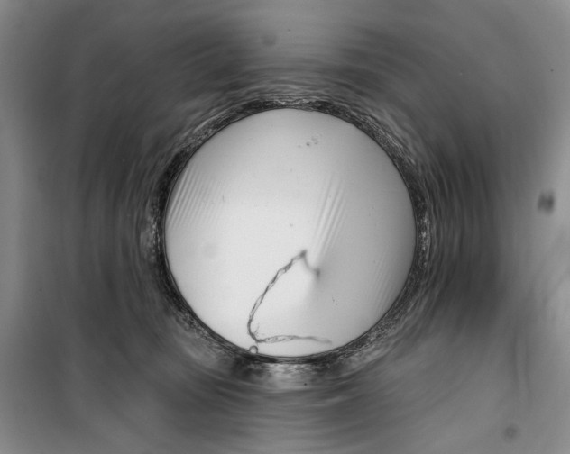 X0000099440371200805301456