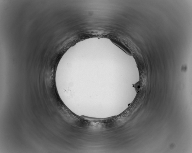 X0000099440376200805301456