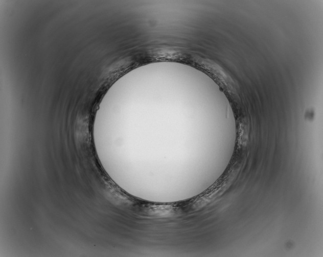 X0000099440377200805301456