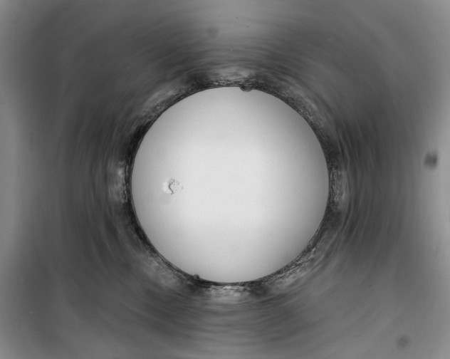 X0000099440378200805301456