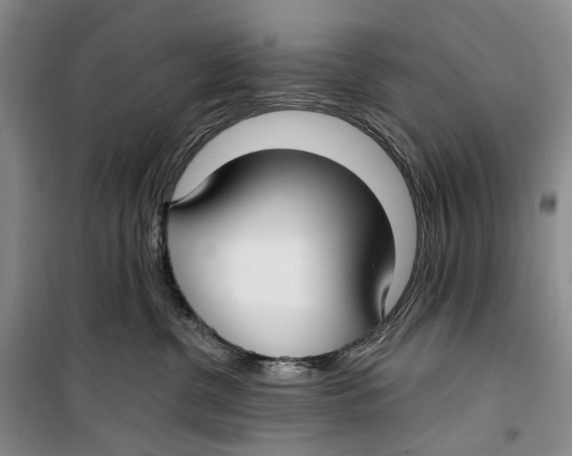 X0000099440380200805301456