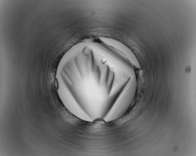 X0000099440382200805301456