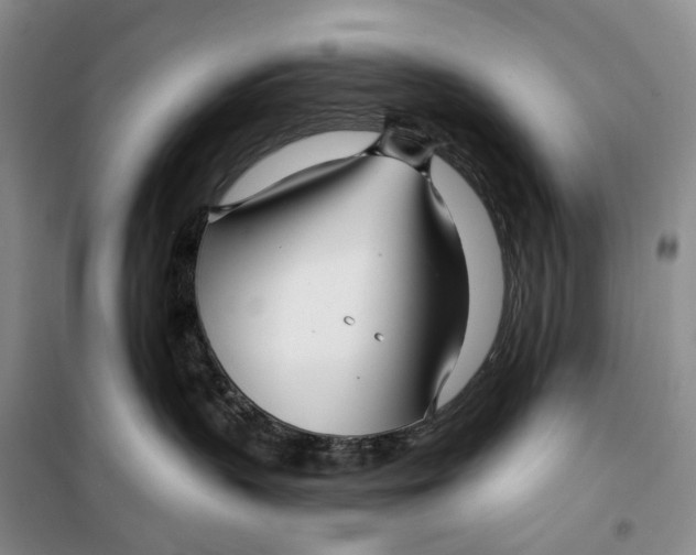 X0000099440383200805301456