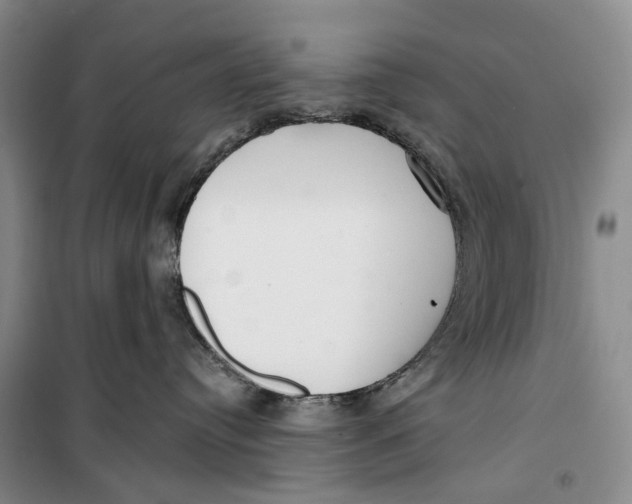 X0000099440384200805301456