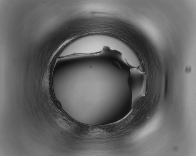 X0000099440387200805301455