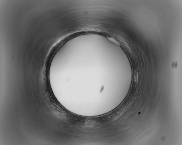 X0000099440388200805301455