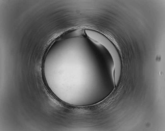 X0000099440389200805301455