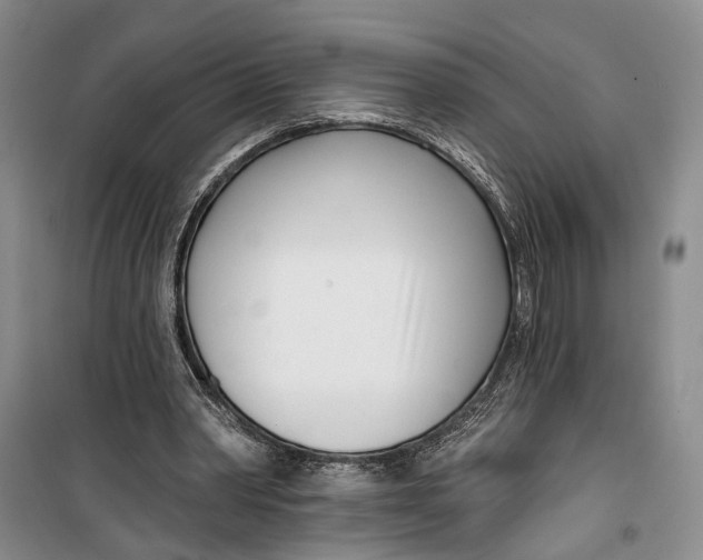 X0000099440390200805301455